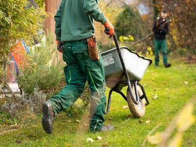 Professional landscapers with wheelbarrow and tools providing garden design, lawn care and outdoor maintenance